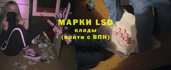 хмурый Алексин