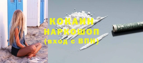 хмурый Алексин
