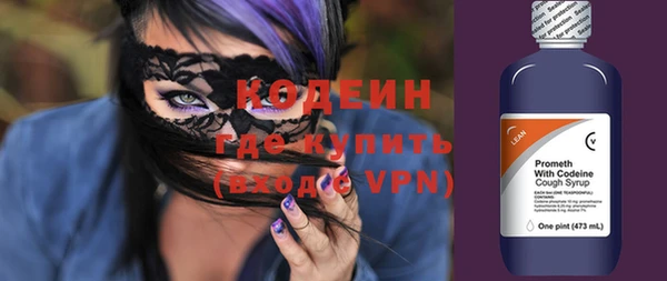 хмурый Алексин