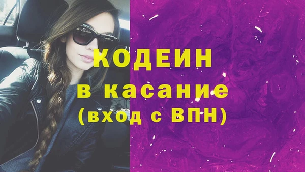 хмурый Алексин