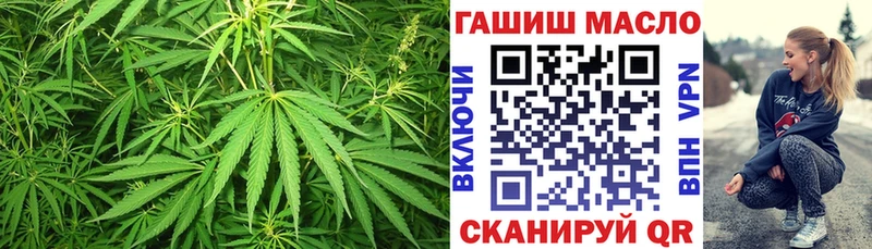 купить  сайты  Новодвинск  ТГК вейп 