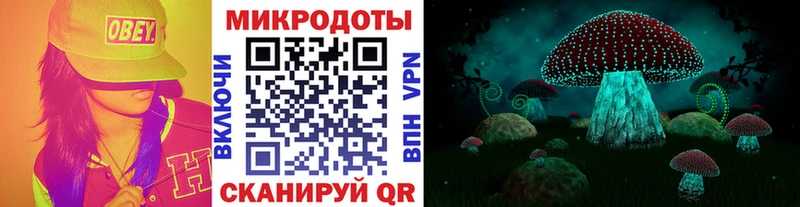 Псилоцибиновые грибы мицелий  Новодвинск 