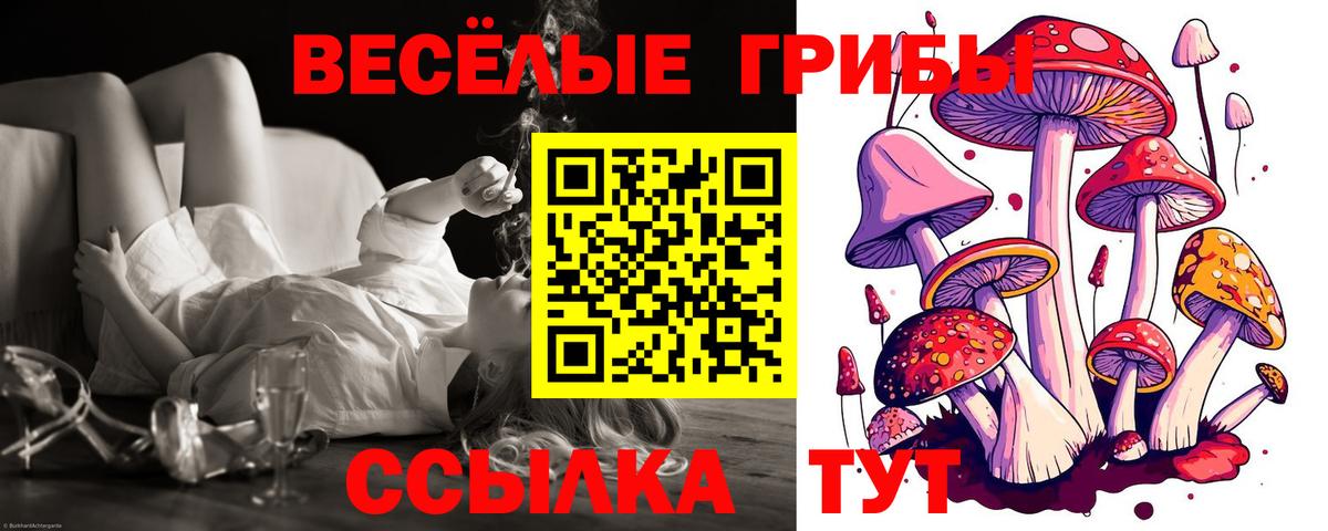 Галлюциногенные грибы мицелий Новодвинск